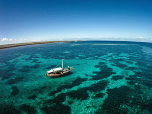 Chole Bay Coral Reefs Mafia Island - Dr Simon Pierce
