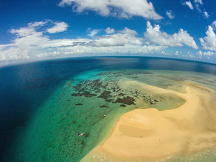 Mafia Island Whale Shark beaches - Dr Simon Pierce