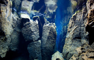 nesgja-northern-water-circle-scuba-diving-iceland.jpg