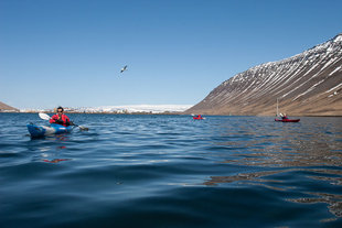 kayakers-north-iceland-calm-water.jpg