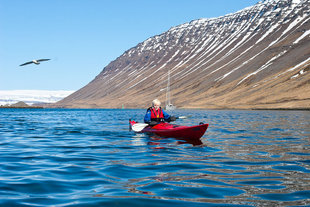 kayaker and bird north iceland.jpg