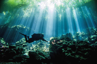 Cenote Diving in Puerto Aventuras