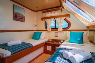 Seaman Journey Twin Cabin