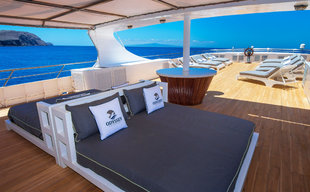 Odyssey Sun Deck Galapagos Wildlife Yacht