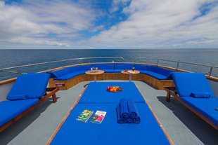 Beluga Deck Galapagos Wildlife Yacht Safari.jpg
