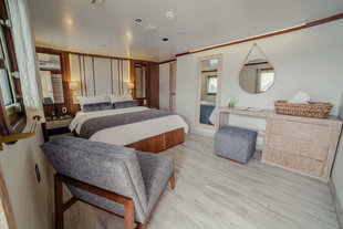 Evolution-Double-Suite-Galapagos-wildlife-yacht-safaris.jpg