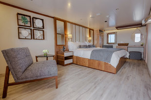 Evolution-Master-Suite-Galapagos-wildlife-yacht-safaris.jpg