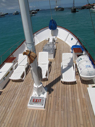 Deck-area-Samba-galapagos-wildlife-marine-life-Sailing-motor-yacht-safari.jpg