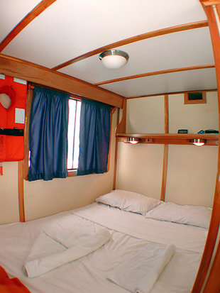 Double-Cabin-Samba-galapagos-wildlife-marine-life-Sailing-motor-yacht-safari.jpg