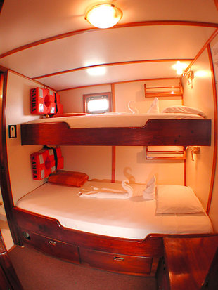 Bunked-Cabin-Samba-galapagos-wildlife-marine-life-Sailing-motor-yacht-safari.jpg