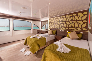 Eco Galaxy Twin Cabin