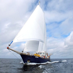 Beagle  Under Sail