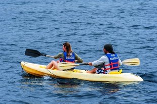 Beagle Kayakers