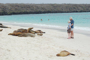 Gardner-Bay-Espanola-Galapagos-Island-wildlife-marine-life.jpg