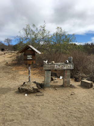 Post office Bay Galapagos Islands wildlife guide.jpg