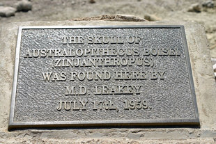 Olduvai Gorge National Park