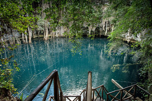 Cenote in the Yucatan Peninsula - Susi Ma