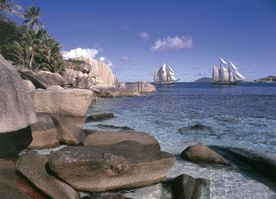 Seychelles Sailing Boats