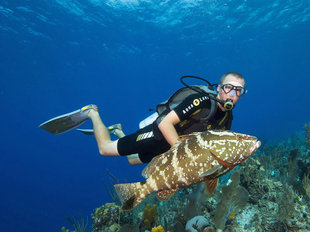 Diving in the Cayman Islands