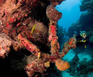 Wreck Diving in Turks & Caicos