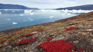 Hiking in Greenland