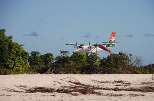 prop-plane-seychelles-wildlife-marine-life-holiday.jpg