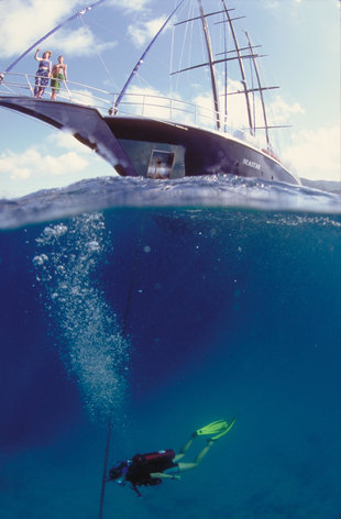 SeaStar and underwater diver seychelles diving wildlife yacht safari.jpg