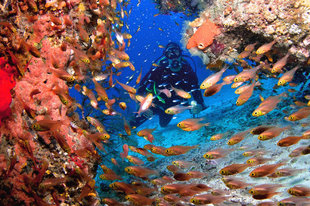 Scuba Diver in swim through at Raja Ampat