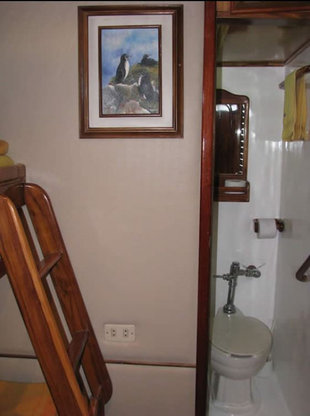 Aida Maria Cabin Bathroom