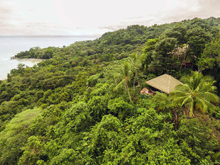 Rainforest Lodge in Corcovado National Park