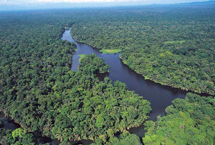 Tortuguero National Park