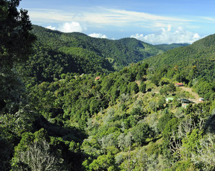 San Gerado de Dota National Park