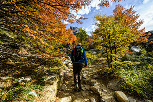 Patagonia Hiking & Trekking in Torres del Paine, Chile