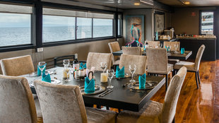 sea-star-dining-journey-galapagos-wildlife-yacht-safari.jpg