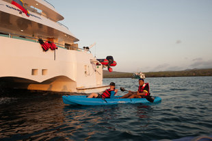 galaxy-ii-kayaking-wildlife-marine-life-yacht-safari.jpg
