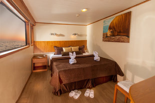 double-cabin-galaxy-galapagos-wildlife-yacht-safari-cruise.jpg