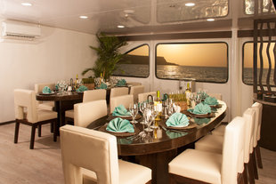 galaxy-ii-dining-room-wildlife-marine-life-yacht-safari-cruise.jpg