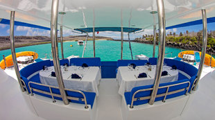 al-fresco-dining-nemo-galapagos-wildlife-marine-life-yacht-safari.jpg