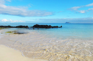 bachas-beach-santa-cruz-island-galapagos.jpg