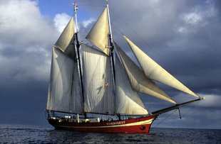 20 Passenger Sailing Schooner in Spitsbergen - Jan Belgers