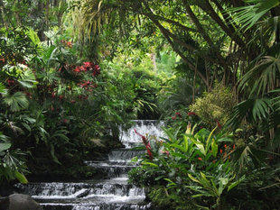 Arenal Volcano National Park