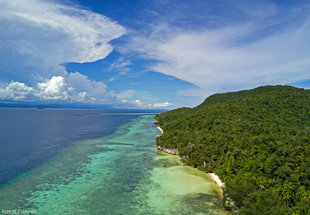 Kri island by drone reef rainforest West Papua