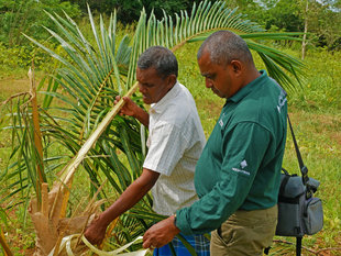 Assessing Crop Damage by Elephants in rural Sri Lanka