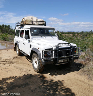 Land-Rover-Madagascar-Rainforest-Conservation-Research-Project-travel-holiday-wildlife-photography-voakajy-Ralph-Pannell-AQUA-FIRMA.jpg