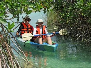 Sit on Top Kayaking in Sian Ka'an Biosphere Reserve
