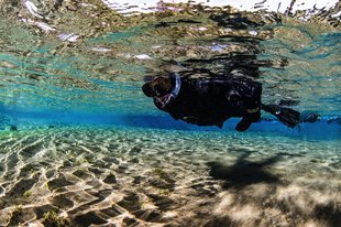 snorkeler-in-silfra-lagoon-sparkeling-by-anders-nyberg-1800x1199.jpg