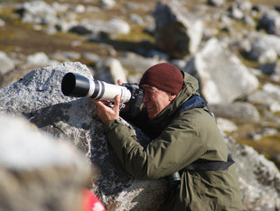 Arctic Photography - Ralph Pannell