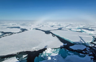 Pack Ice in Spitsbergen - Arjen Drost