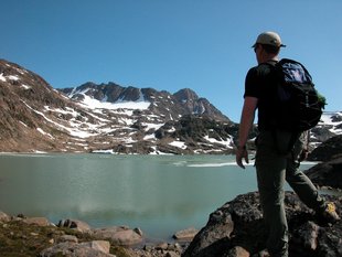 hiking-greenland-sailing-scoresby-sund-marine-life-wildlife.jpeg