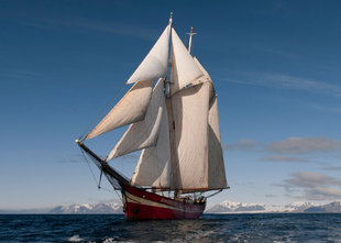 20 Passenger Sailing Schooner - David Slater